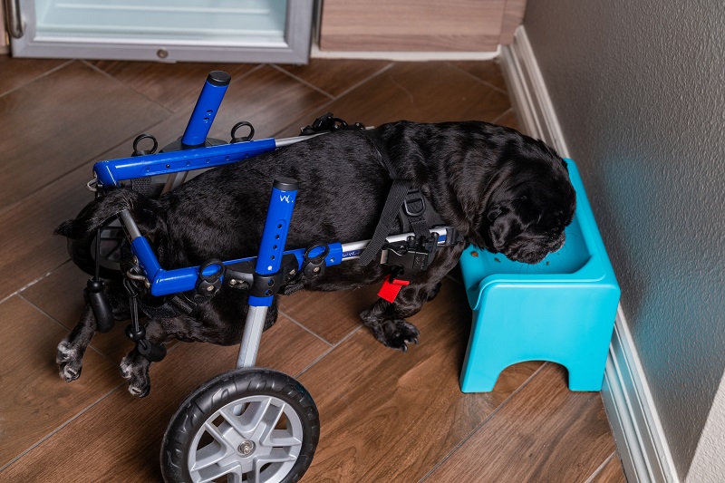 fluff trough in action