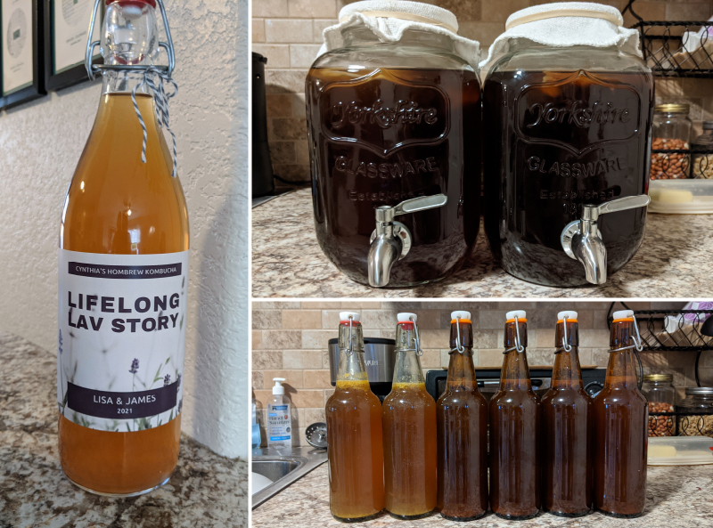 kombucha brewing