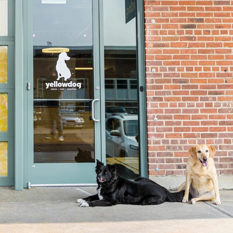 Lucy & Baloo out front at YellowDog Denver.