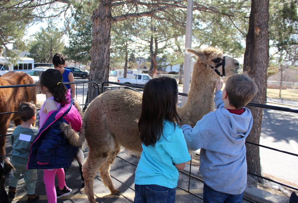 Two children petting a llama in a petting zoo.